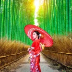 A japanese girl in bamboo forest