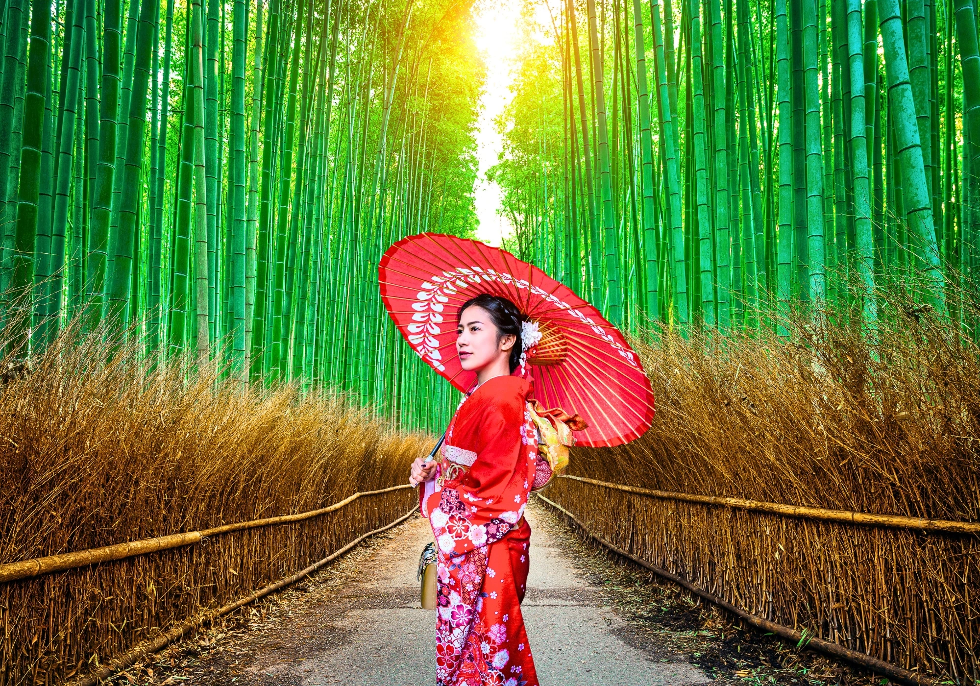 A japanese girl in bamboo forest