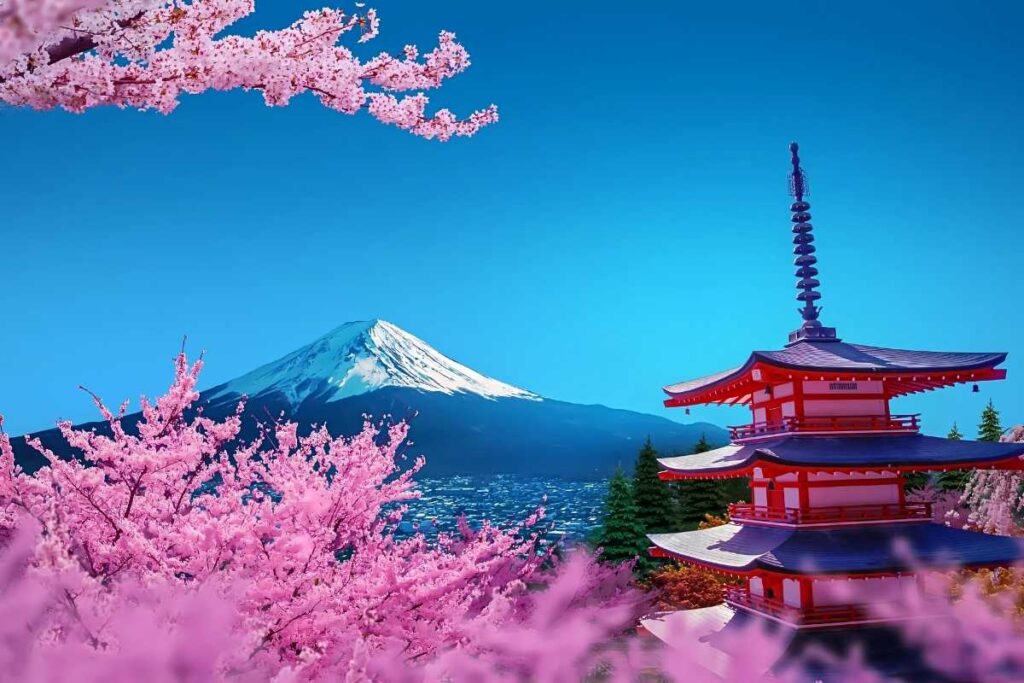 Cherry blossom season one of the best time to visit in Japan